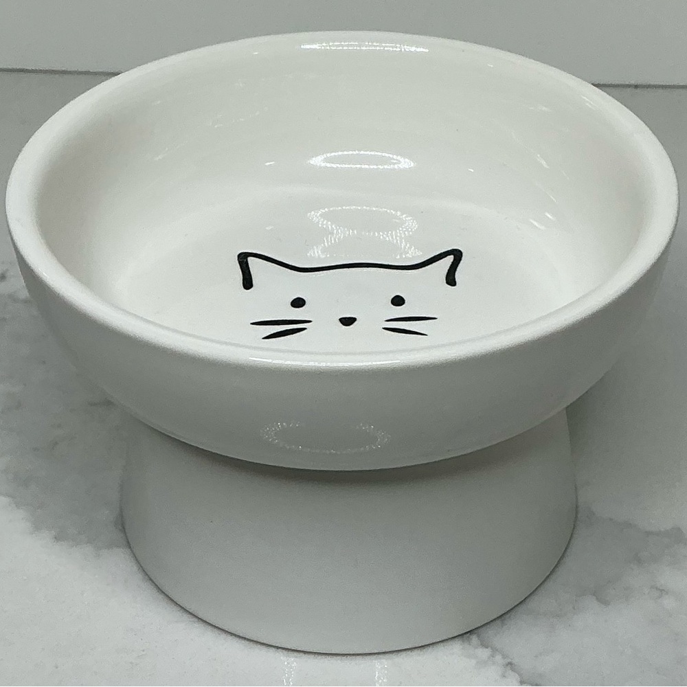 Elevated Cat Food Bowl Small Ceramic Raised and Tilted Water Bowl Paws New